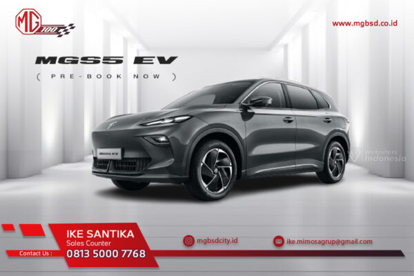 MGS5 EV